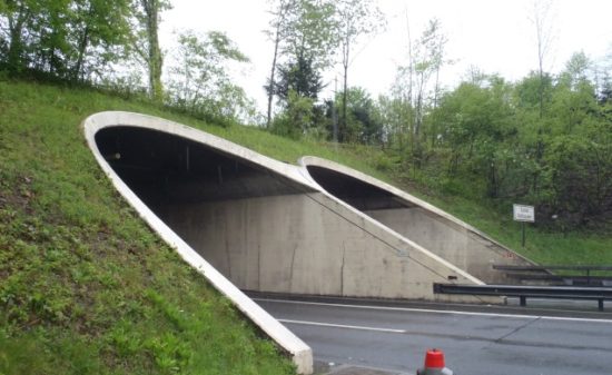 Referenzbild vom Projekt N14 EP Rotsee – Rütihof, Sanierung Tunnel Rathausen